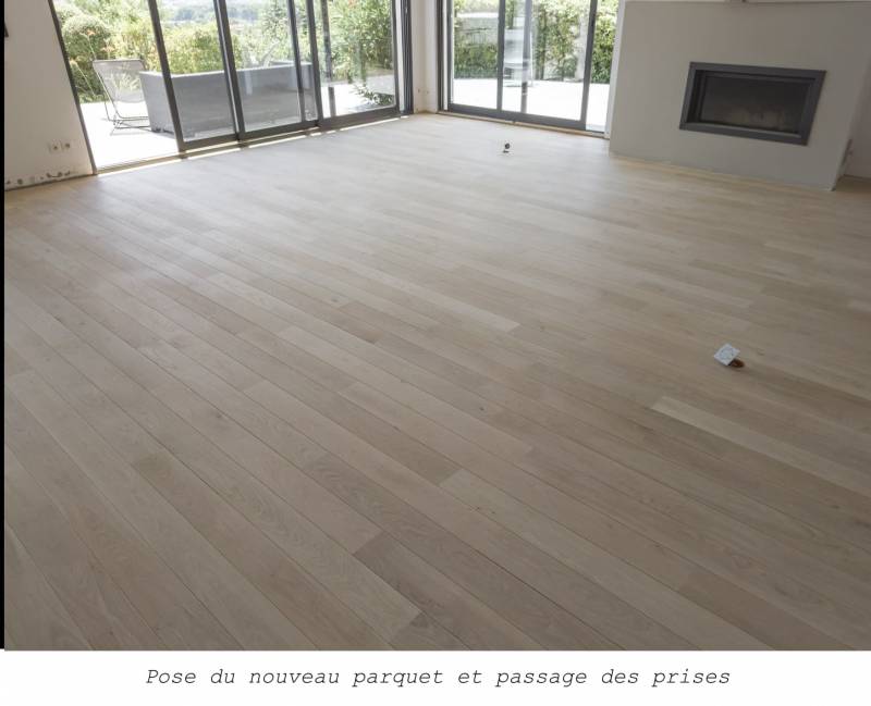 remplacement parquet dégât des eaux ouest lyonnais