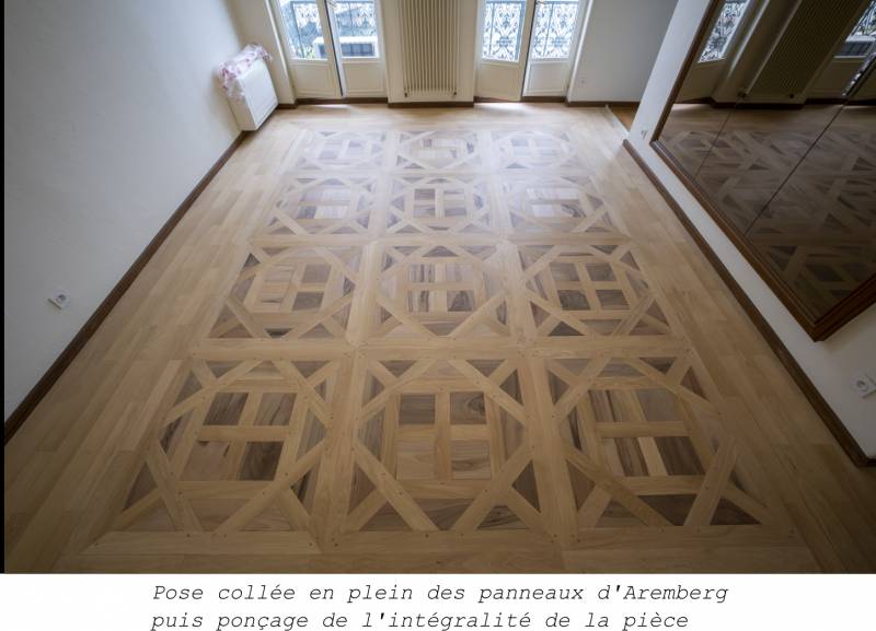 professionnel remplacement parquet abîmé dégât des eaux Champagne Mont d'Or